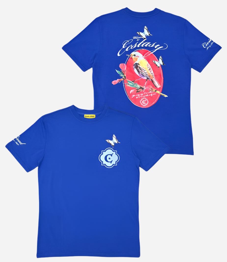 #color_blue
