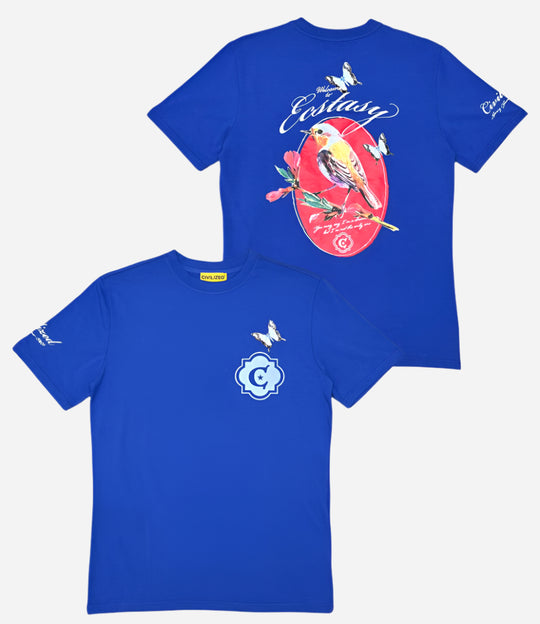 #color_blue